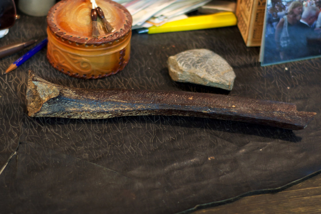 femur