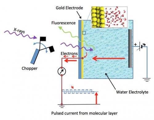 Schematic of the electrochemical cel