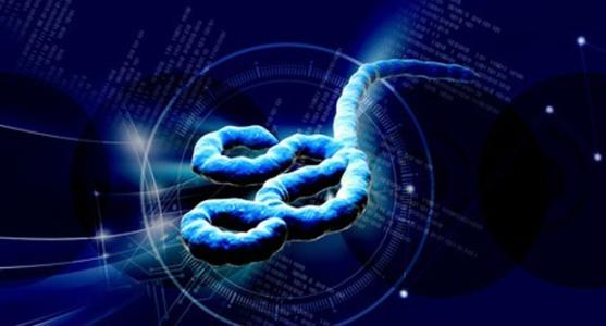 ebola
