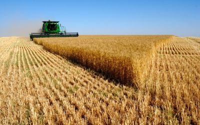russian harvest