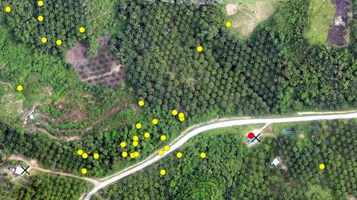 drone mapping