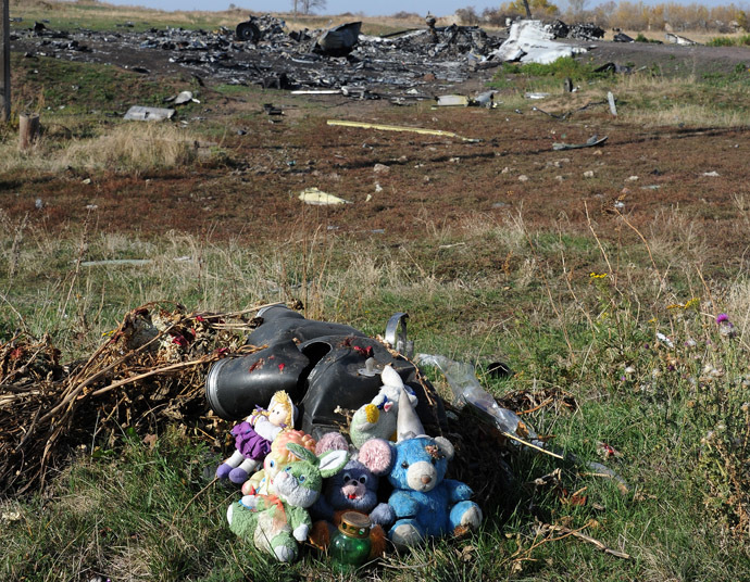 MH17 wreckage4
