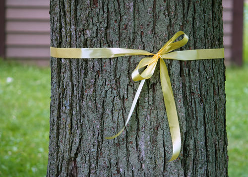 yellow ribbon