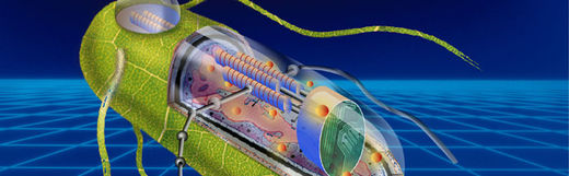 synthetic biology