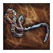 Ebola virus