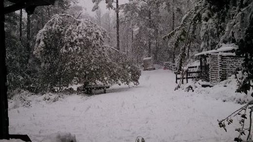 snow columbia south carolina