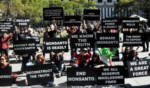 monsanto protests