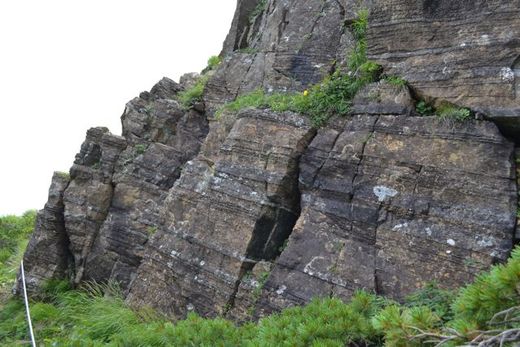 Peridotite