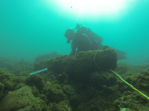Click to enlarge wreck site Tobago