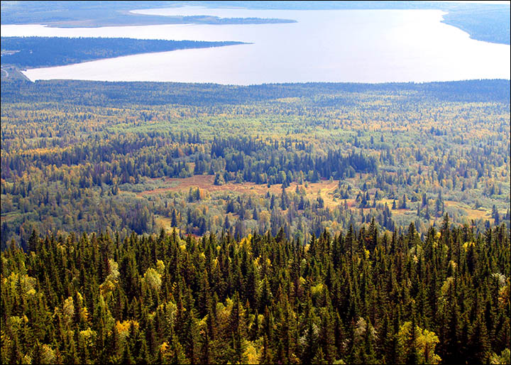 Click to enlarge Image