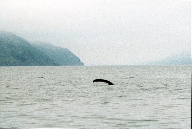 Click to enlarge Image