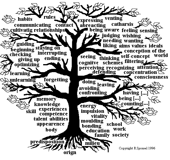 Click to enlarge Image