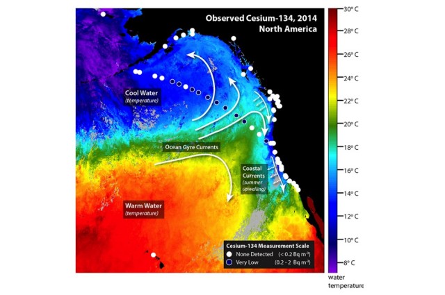 cesium map
