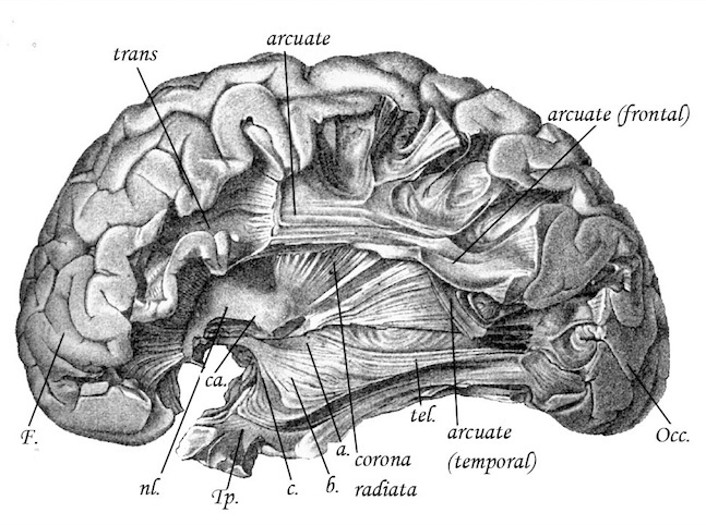 Click to enlarge Image