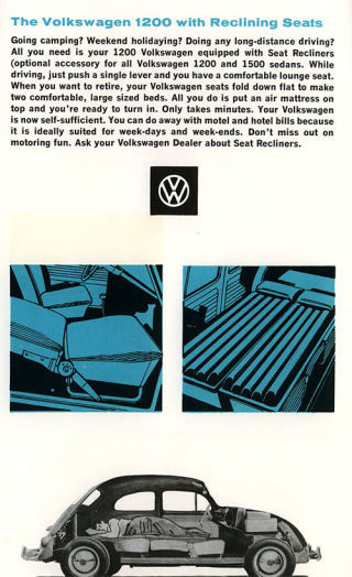 beetle sleeping