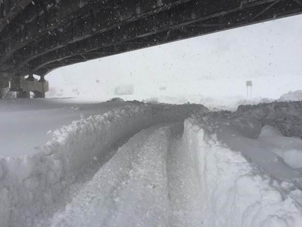 Buffalo snow