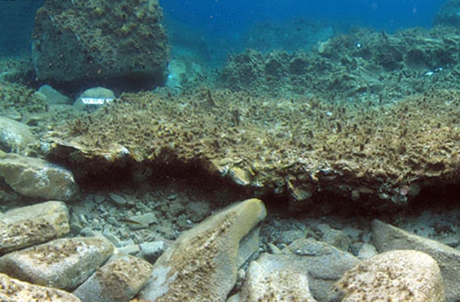 underwater pompeii