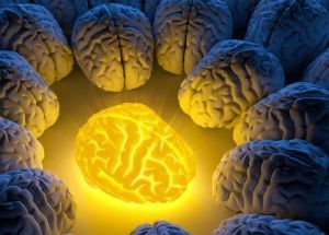 turmeric heals damaged brain