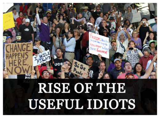 Useful Idiots