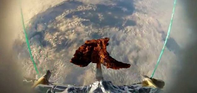 Lamb chop in space 