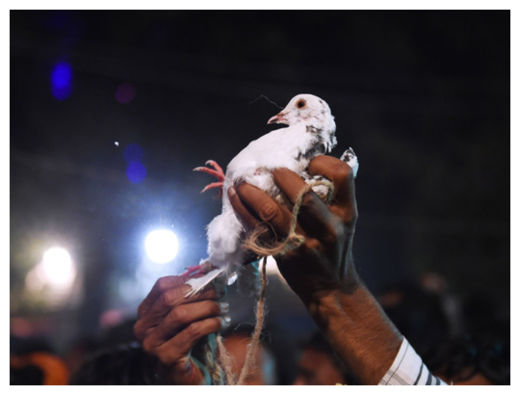 Click to enlarge Hindu Festival_2