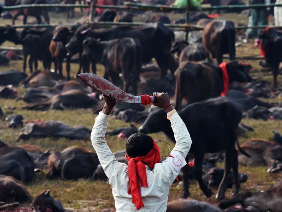 Click to enlarge Hindu Festival_3