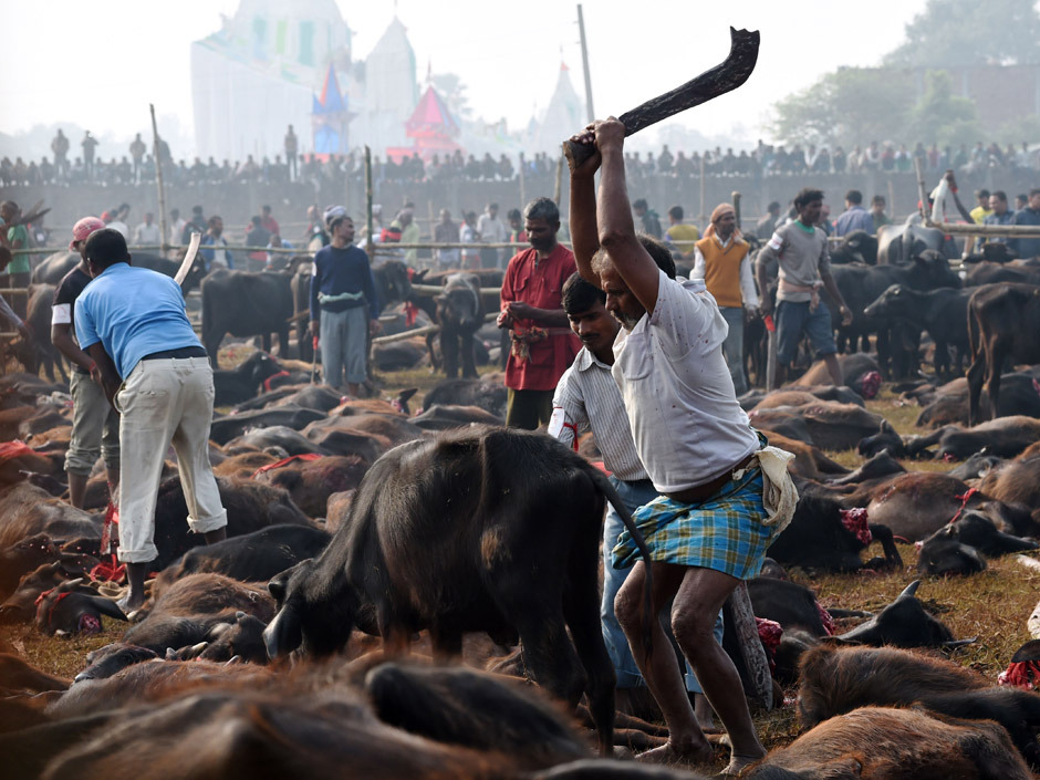 Click to enlarge Hindu Festival_4