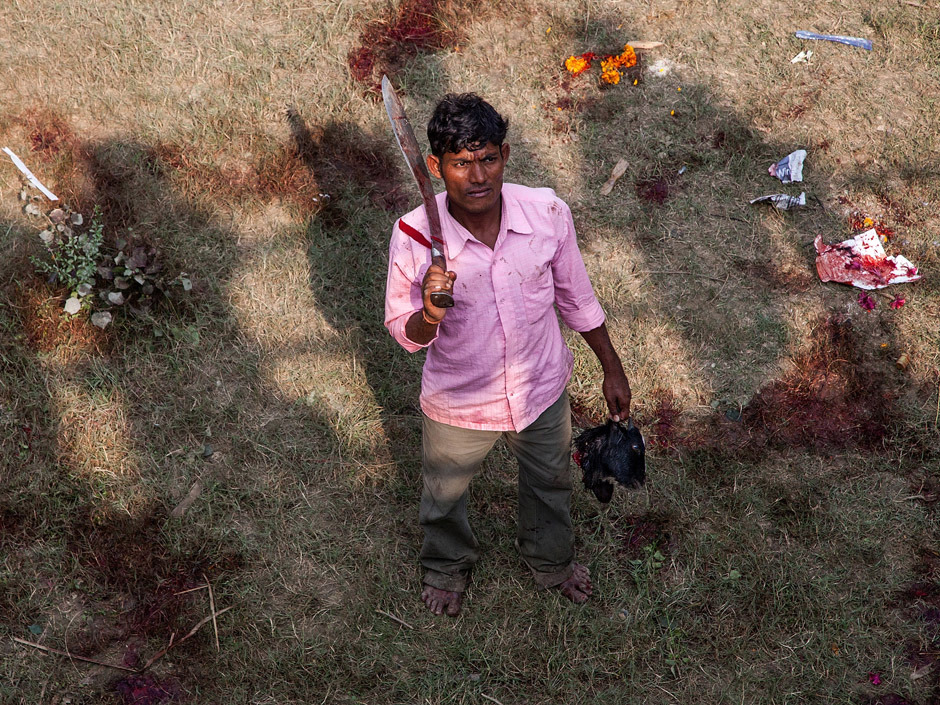 Click to enlarge Hindu Festival_5