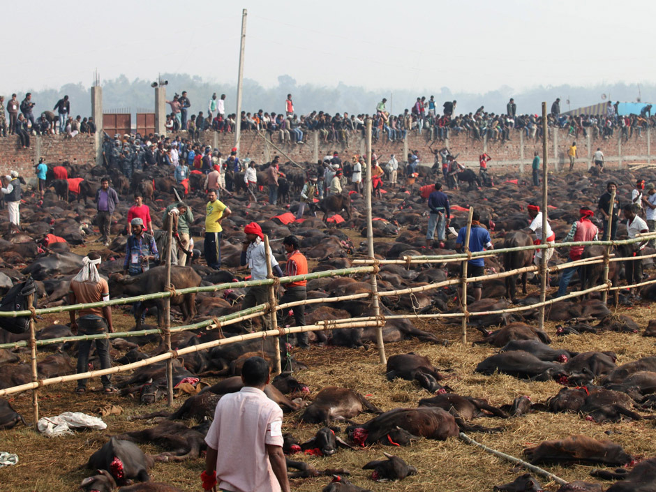 Click to enlarge Hindu Festival_7