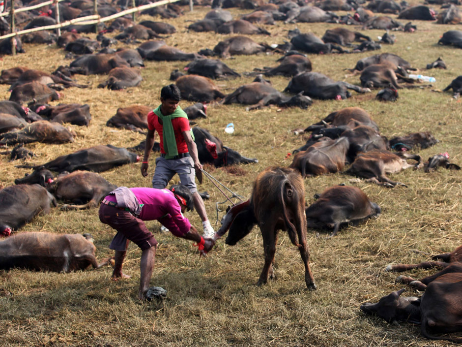 Click to enlarge Hindu Festival_8