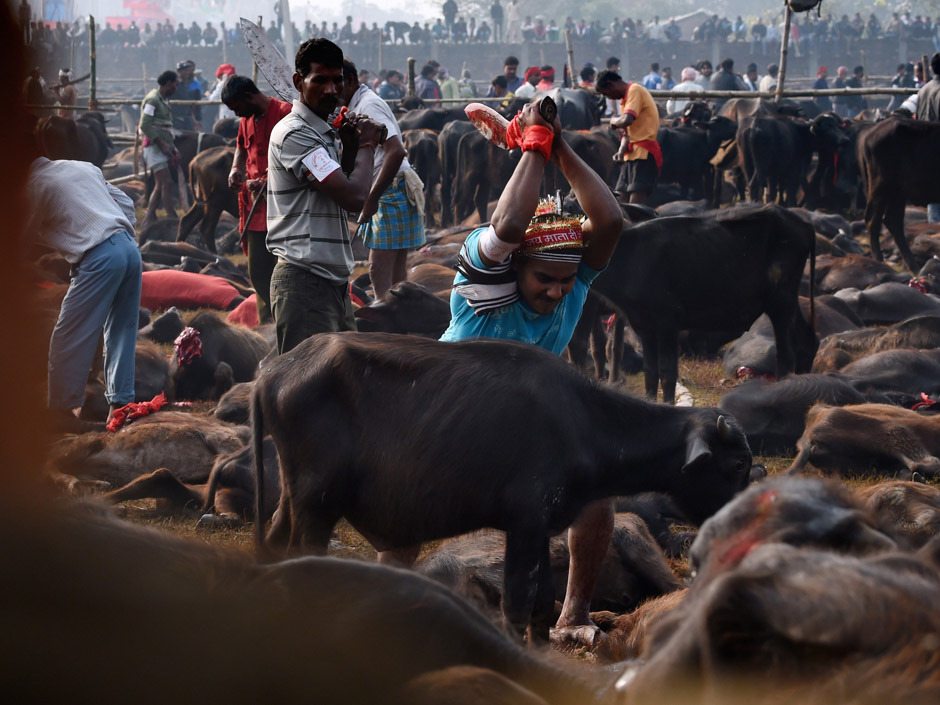 Click to enlarge Hindu Festival_9