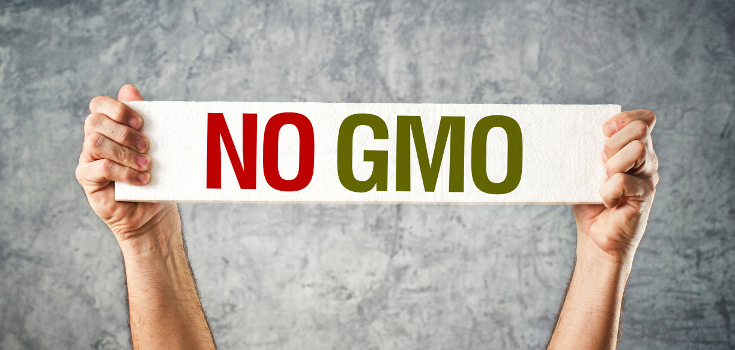 no gmos