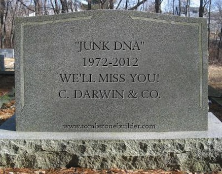 junk dna