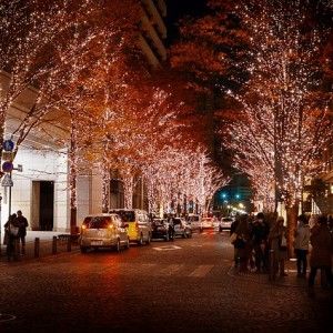 christmas lights