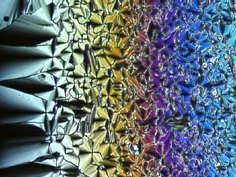 liquid crystal DNA