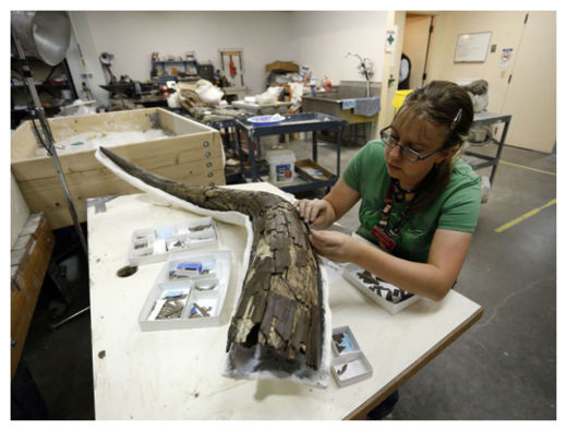 Click to enlarge Mastodons_1