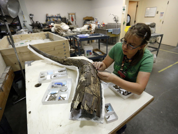 Click to enlarge Mastodons_1
