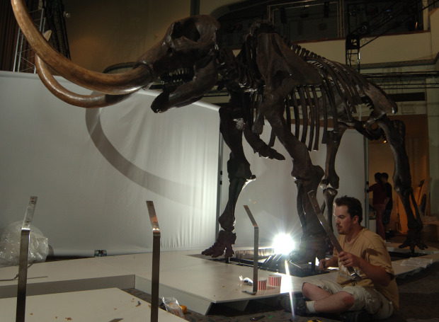 Mastodons_2