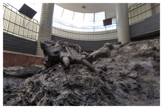 Mastodons_3