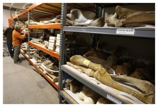 Mastodons_4