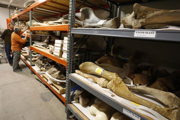 Mastodons_4