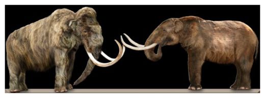 Mastodons_5