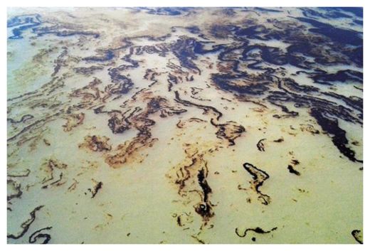 Oil Spill Bangladesh