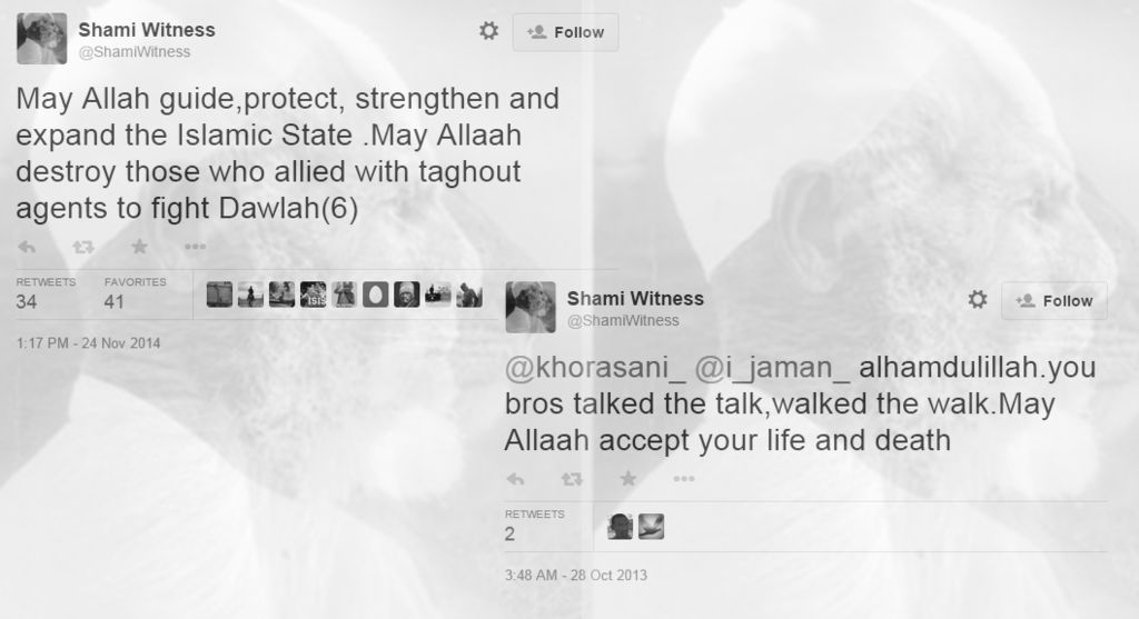 Click to enlarge Shami Witness