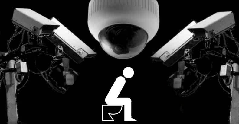 Click to enlarge Toilet Spying