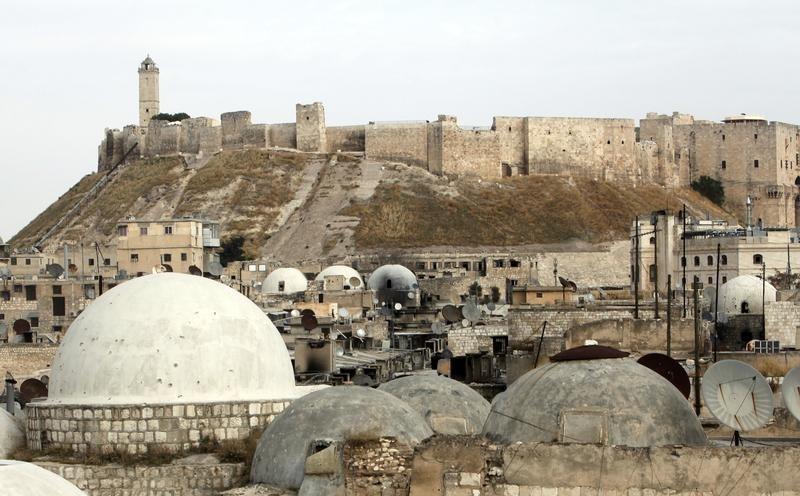 aleppo castle