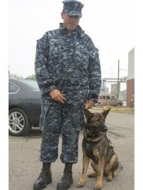 service dog veteran