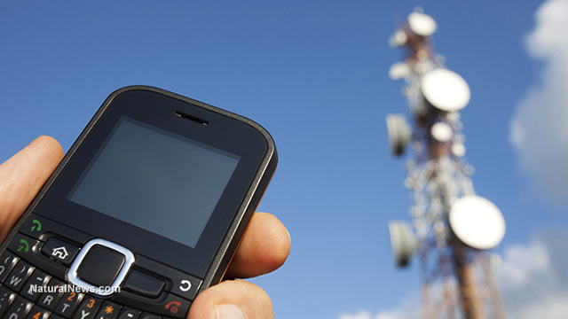 cellphone