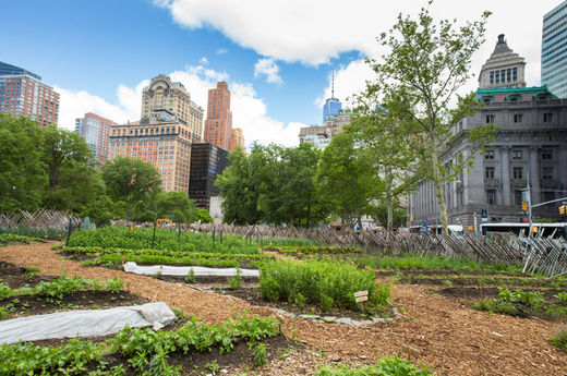 urban gardens