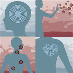 Click to enlarge Immune System